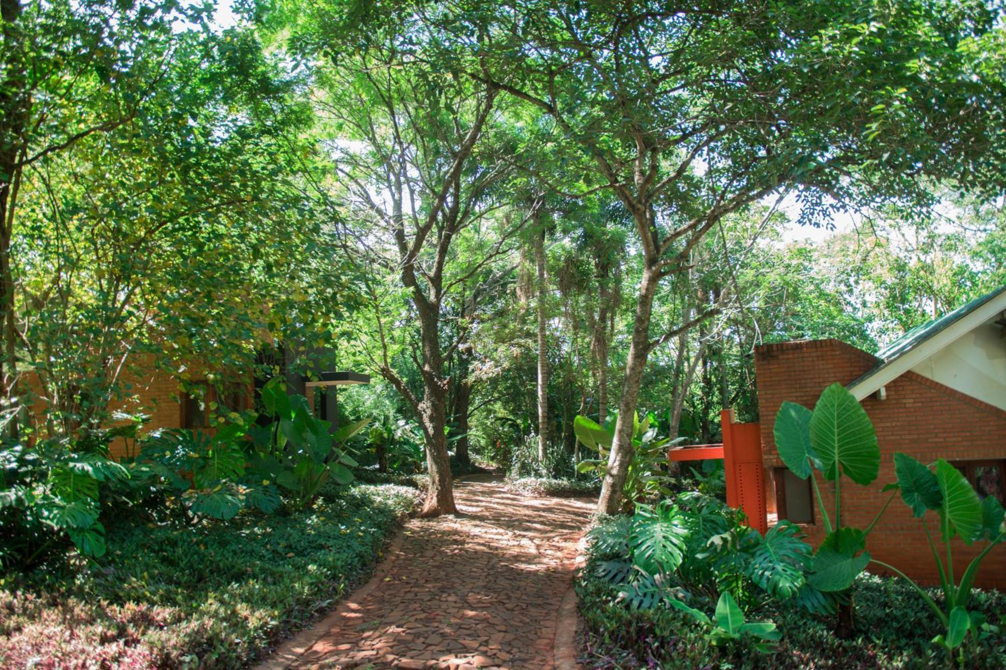 Raices Amambai Puerto Iguazú