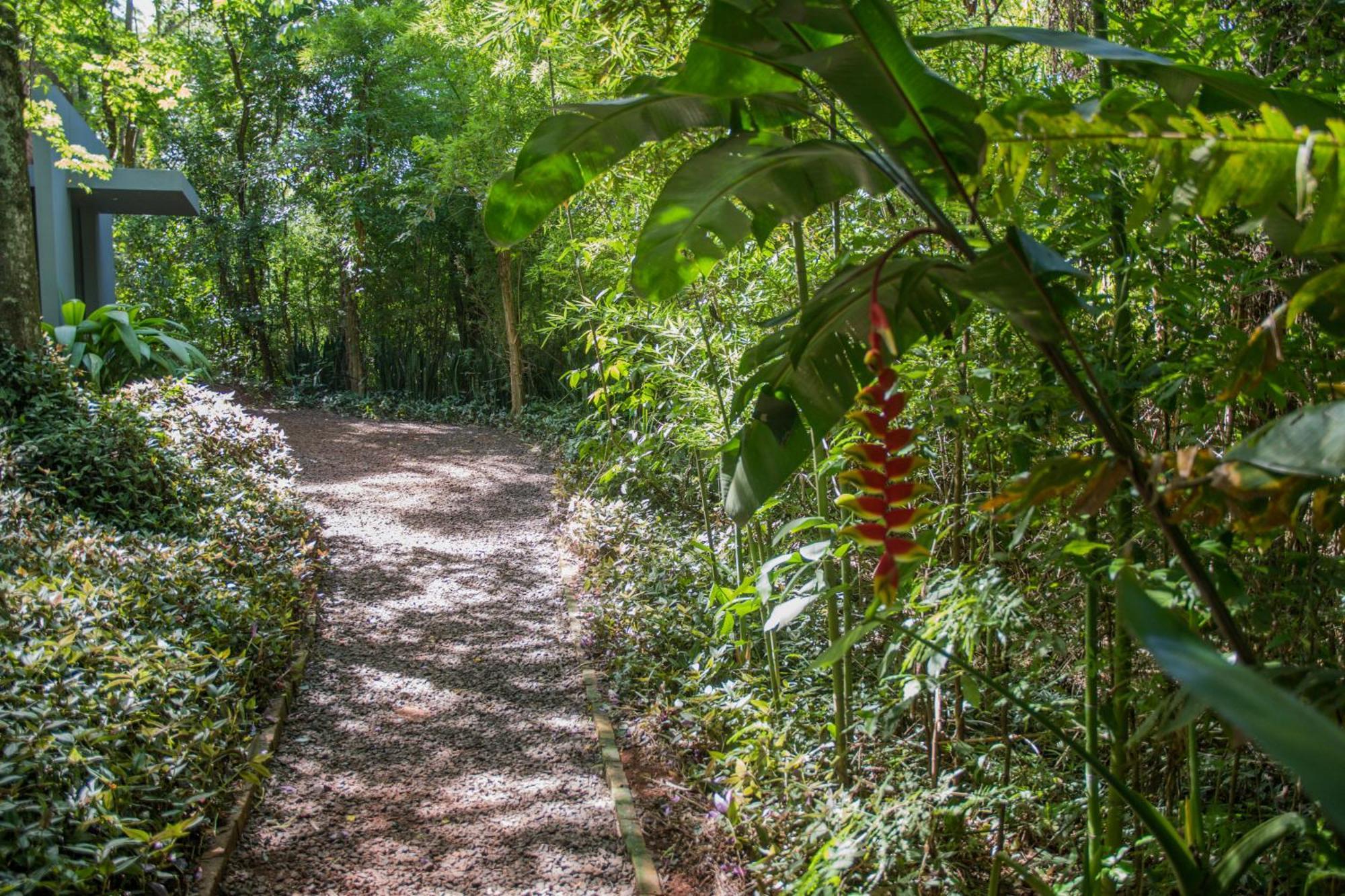 Raices Amambai